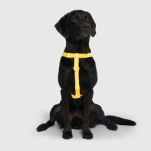 Load image into Gallery viewer, Waterproof Harness (Yellow)