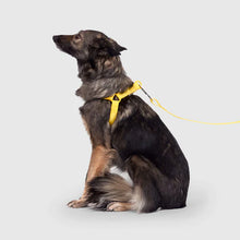 Load image into Gallery viewer, Waterproof Harness (Yellow)