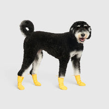 Load image into Gallery viewer, Waterproof Rain Boots (Yellow)