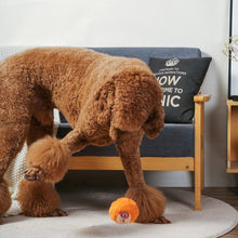 Load image into Gallery viewer, Zoo Ball 2-in-1 Sloth 4"