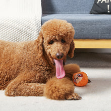 Load image into Gallery viewer, Zoo Ball 2-in-1 Sloth 4"