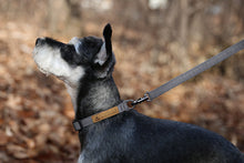 Load image into Gallery viewer, Easy Collar (Grey)
