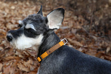 Load image into Gallery viewer, Easy Collar (Yellow)