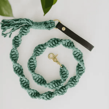 Load image into Gallery viewer, Macrame Dog Leash | Teal - WAGSUP