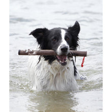 Load image into Gallery viewer, Stick Family Toy (Elwood)