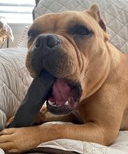 Load image into Gallery viewer, Indestructibone for Heavy Chewer
