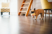 Load image into Gallery viewer, Plush Toy Taco - WAGSUP