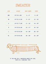 Load image into Gallery viewer, Smiley Sweater