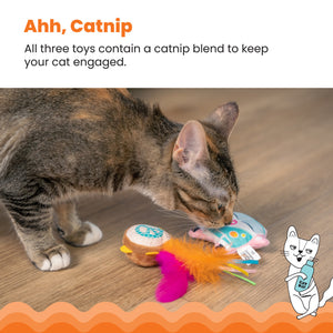 Catnip Festival Cat Toy 3 Pack
