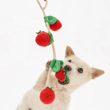 Load image into Gallery viewer, Cherry Tomato Nose Work &amp; Tug Toy
