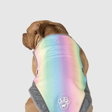Load image into Gallery viewer, Chill Seeker Cooling Vest Rainbow
