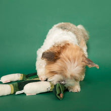 Load image into Gallery viewer, Green Onion Nosework Toy
