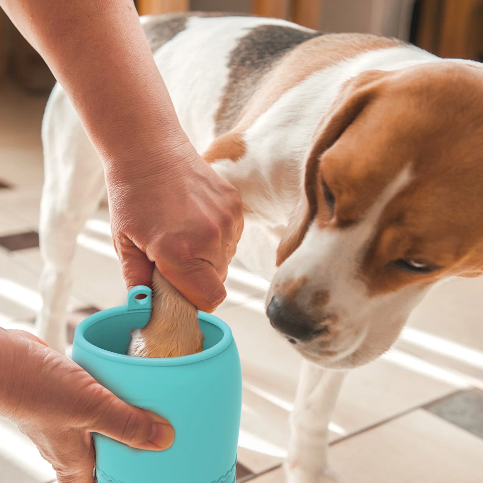 Load image into Gallery viewer, Mud Stop Paw Cleaning Kit