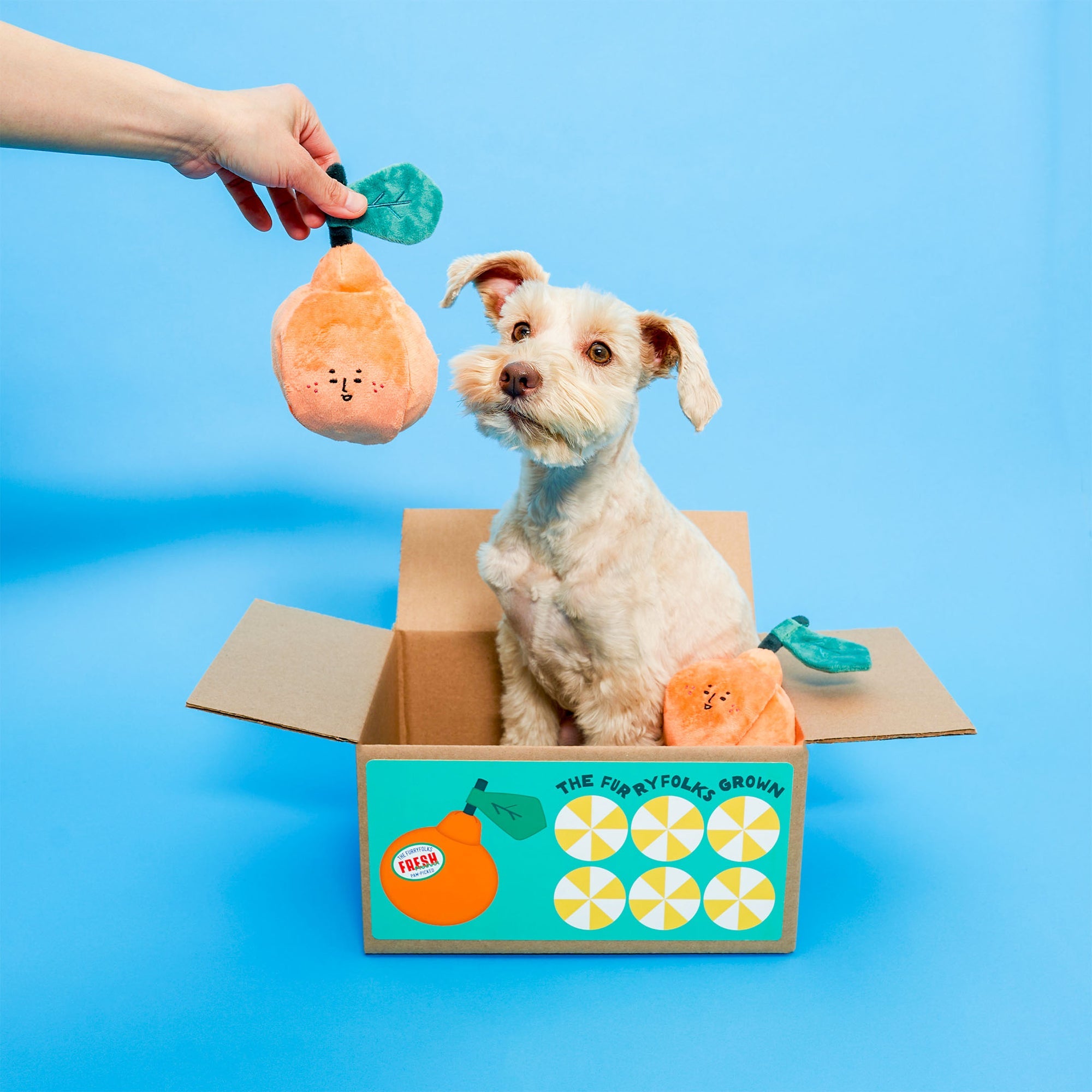 Orange Nosework Toy – WAGSUP