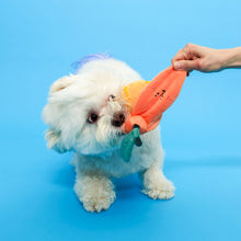 Load image into Gallery viewer, Orange Nosework Toy

