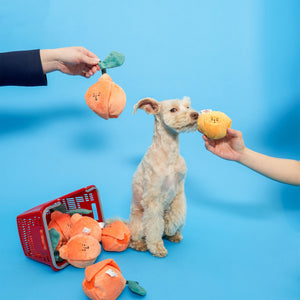 Orange Nosework Toy