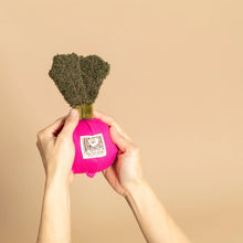 Load image into Gallery viewer, Radish Nose Work Toy
