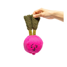 Load image into Gallery viewer, Radish Nose Work Toy

