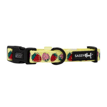 Load image into Gallery viewer, Strawberry Fields Furever Dog Collar
