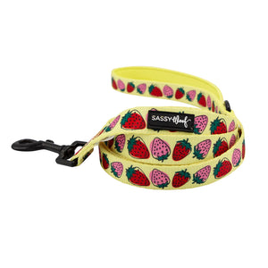 Strawberry Fields Furever Dog Leash