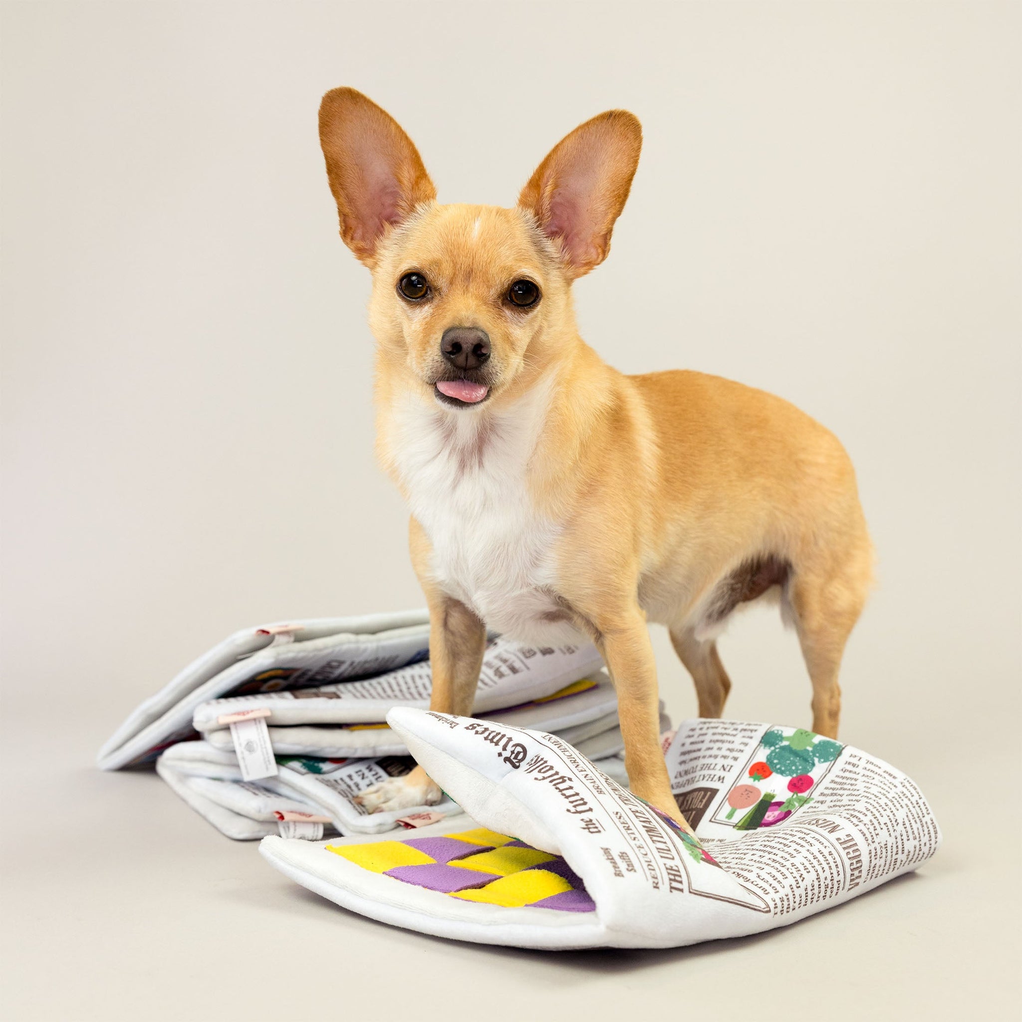 Load image into Gallery viewer, Newspaper Nosework Toy