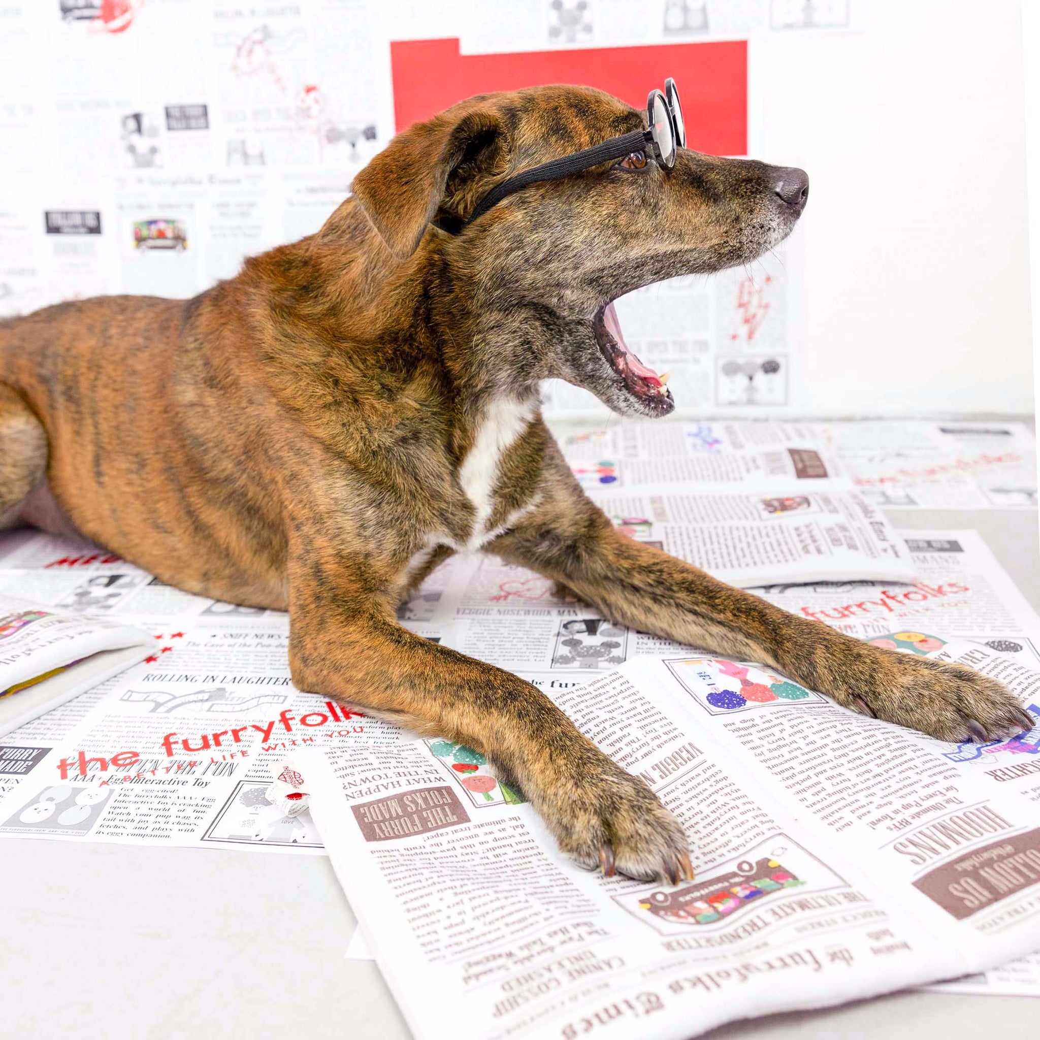 Load image into Gallery viewer, Newspaper Nosework Toy