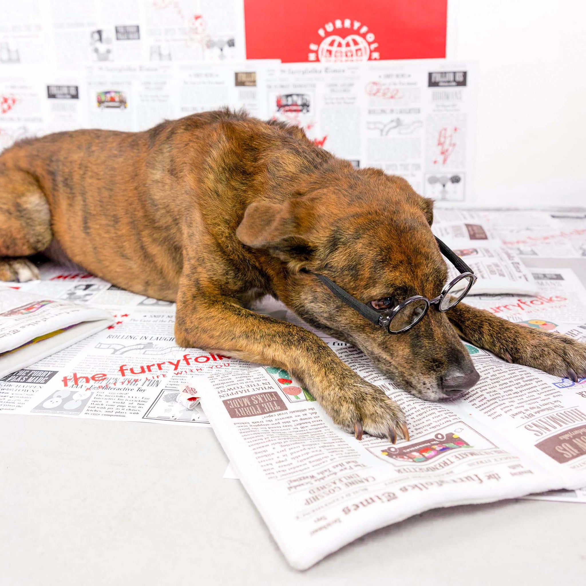 Load image into Gallery viewer, Newspaper Nosework Toy