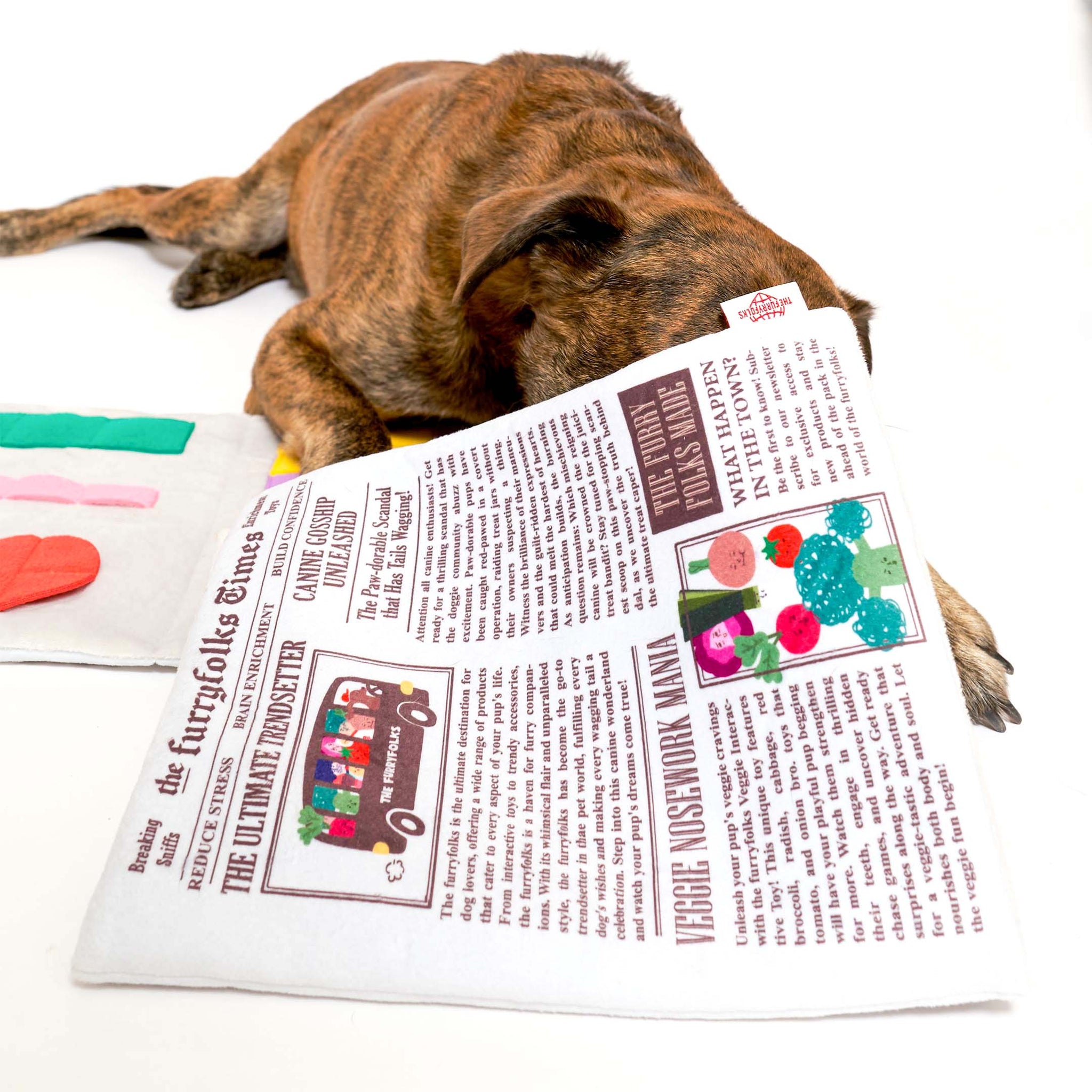 Load image into Gallery viewer, Newspaper Nosework Toy