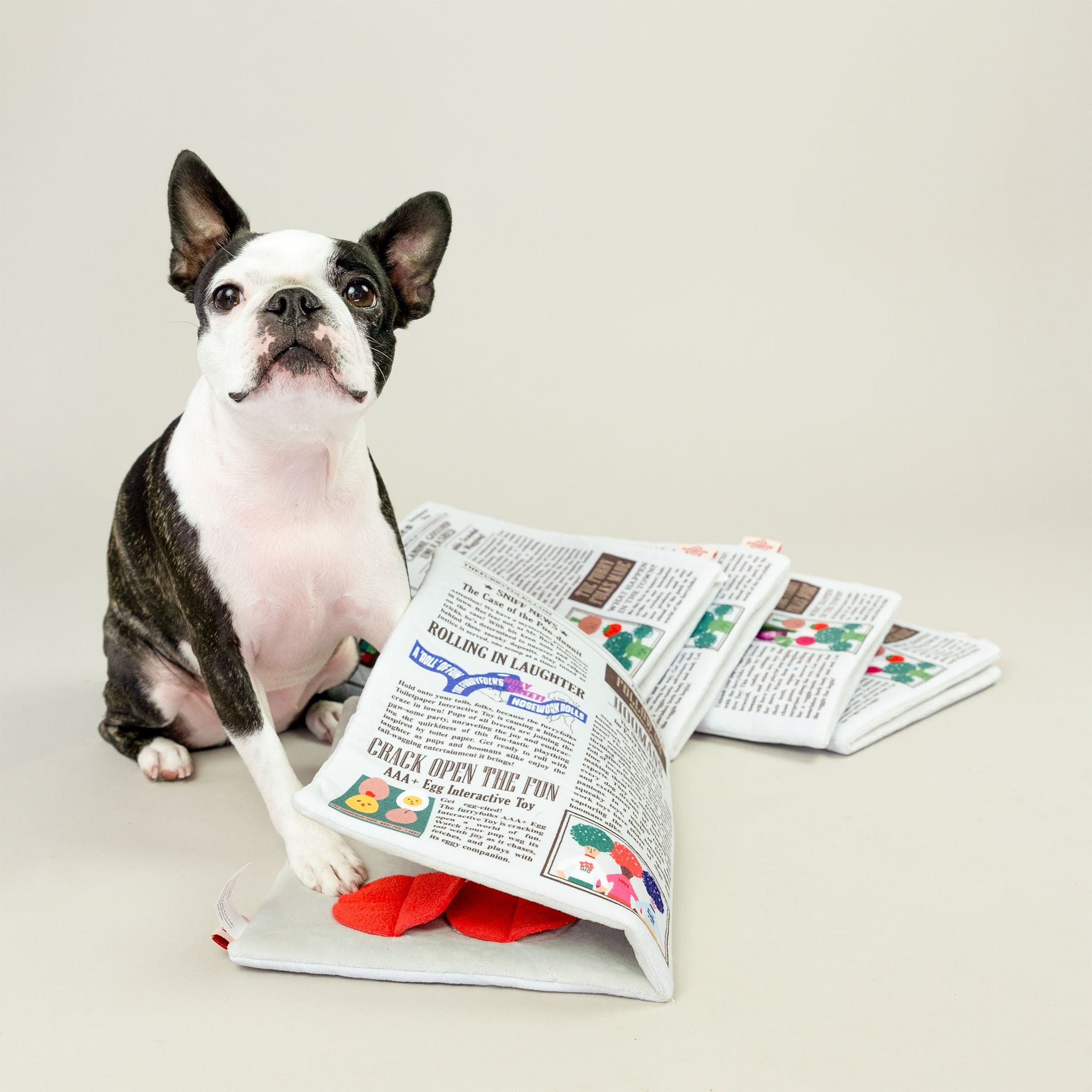 Load image into Gallery viewer, Newspaper Nosework Toy