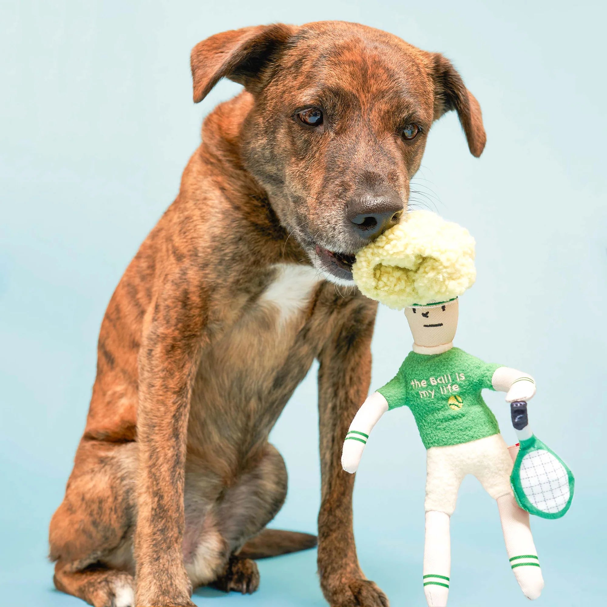 Load image into Gallery viewer, Tennis Hooman Nosework Toy