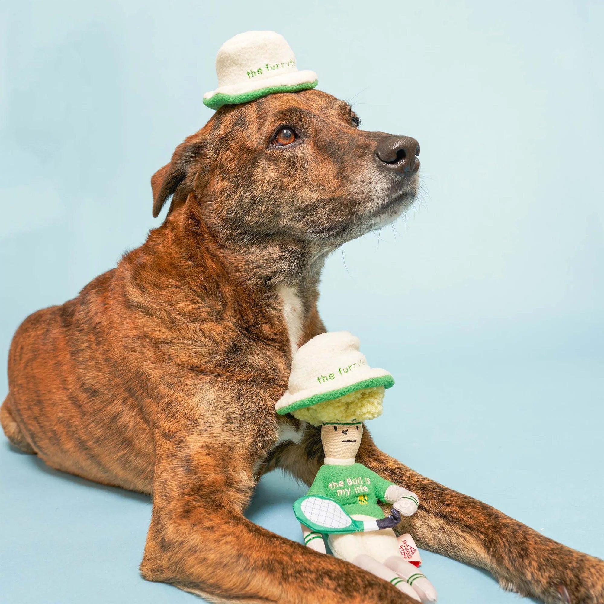 Load image into Gallery viewer, Tennis Hooman Nosework Toy