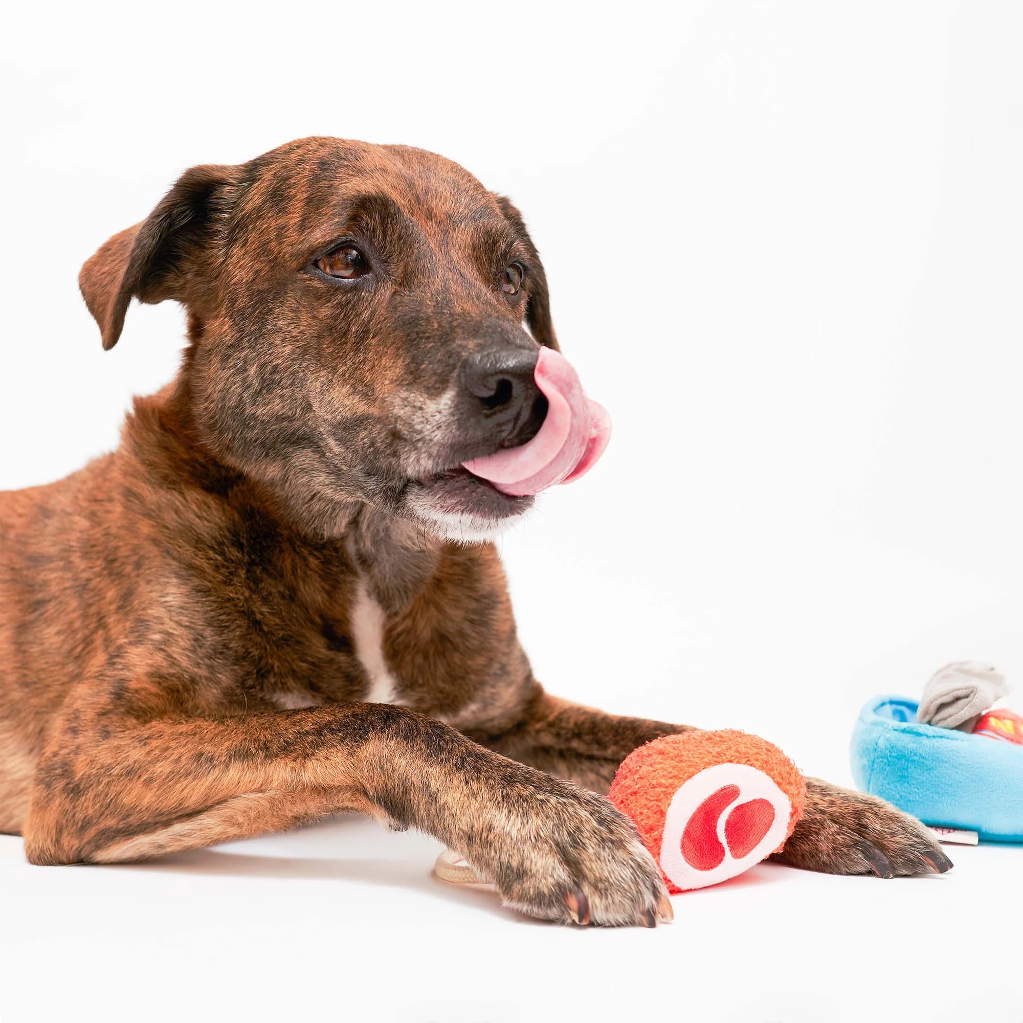 Load image into Gallery viewer, Tinned Jamon Nosework Toy