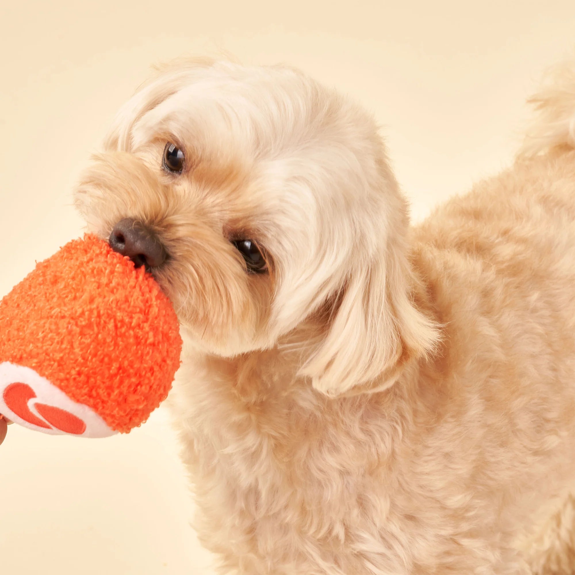 Load image into Gallery viewer, Tinned Jamon Nosework Toy