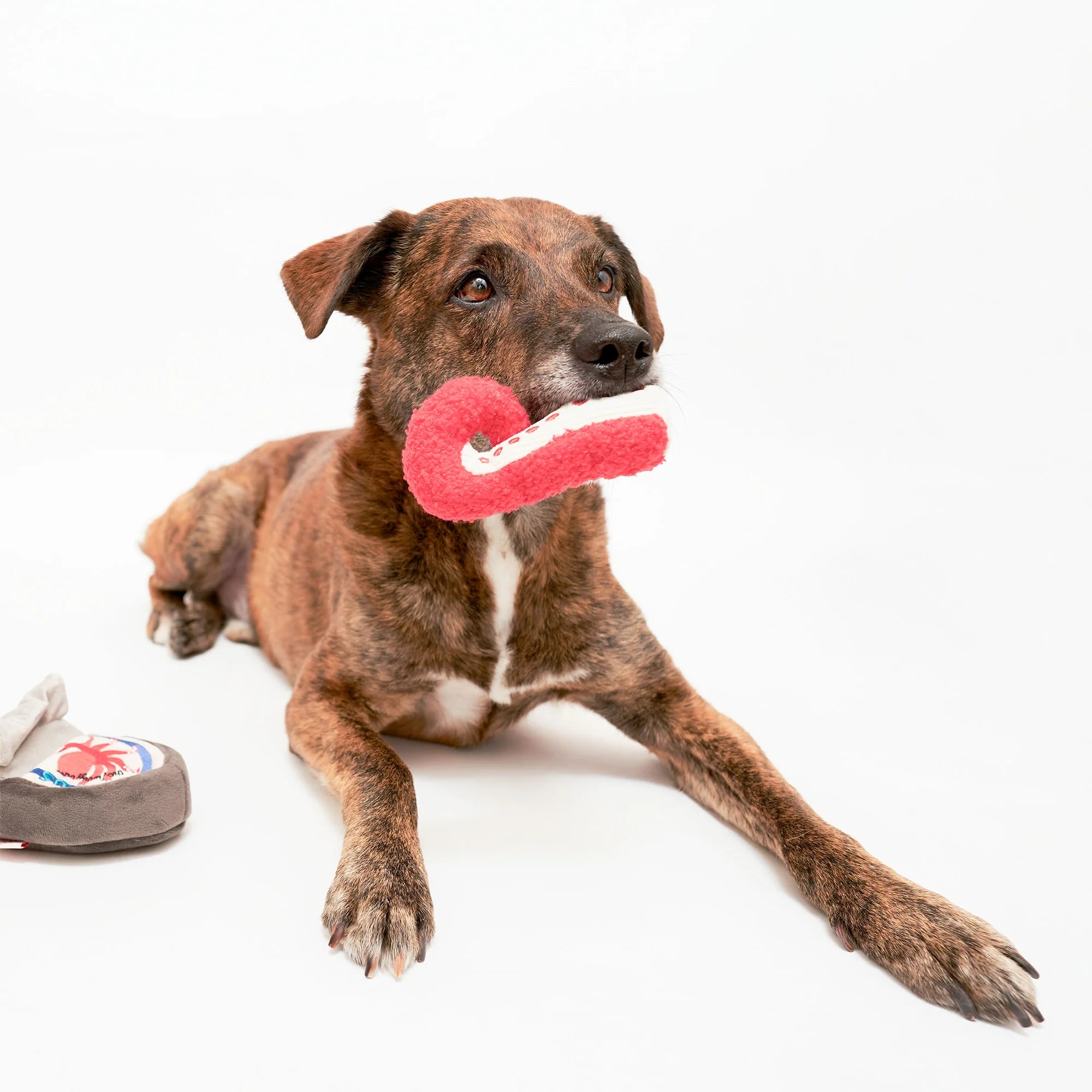 Load image into Gallery viewer, Tinned Octopus Nosework Toy