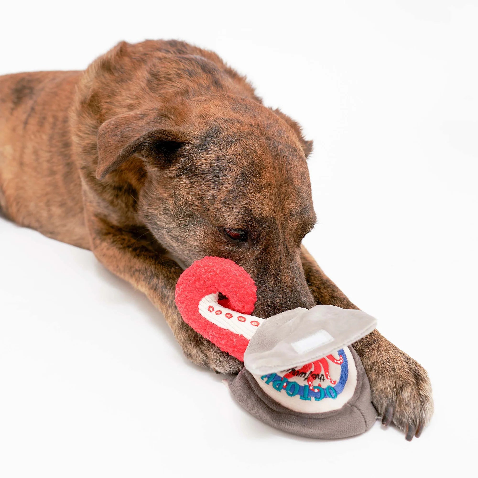 Load image into Gallery viewer, Tinned Octopus Nosework Toy