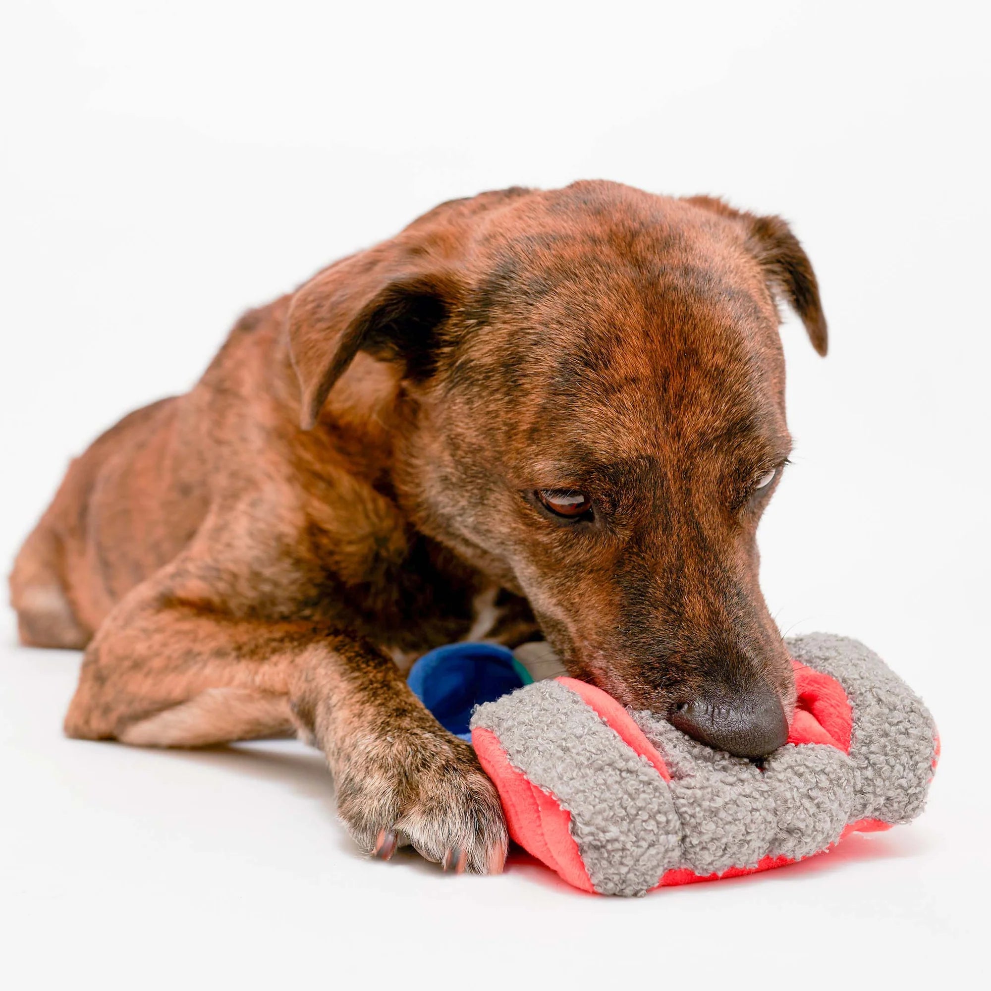Load image into Gallery viewer, Tinned Salmon Nosework Toy