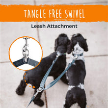 Load image into Gallery viewer, Adjustable Length Double Dog Leash with Handle - WAGSUP
