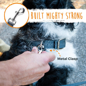 Adjustable Length Double Dog Leash with Handle - WAGSUP