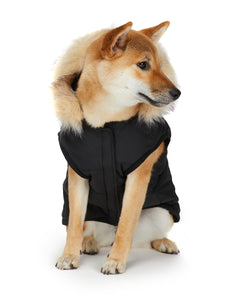 Barnard Quilted Dog Jacket