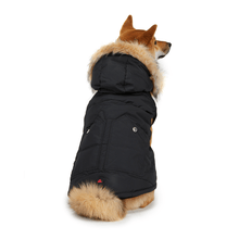 Load image into Gallery viewer, Barnard Quilted Dog Jacket
