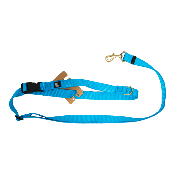 Blue Leash Adjustable 4ft-7ft - WAGSUP