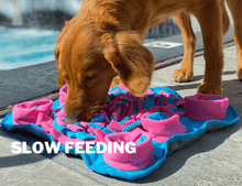 Load image into Gallery viewer, Bubble Gum Snuffle Mat - WAGSUP
