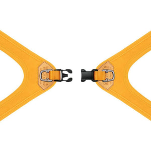 Buckle-Up Easy Harness (Black)