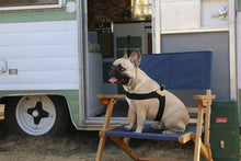 Load image into Gallery viewer, Buckle-Up Easy Harness (Black)
