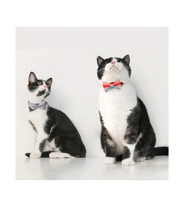 Cat Bow Tie Collar (Dreamy Camouflage)