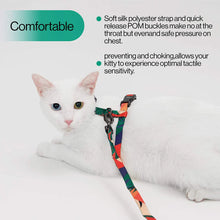 Load image into Gallery viewer, Cat Harness and Leash Set (Blue)
