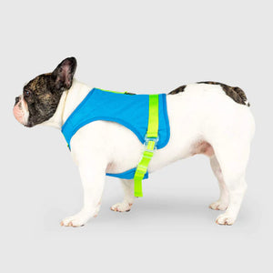 Chill Seeker Cooling Harness