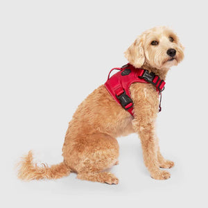 Complete Control Harness (Red)