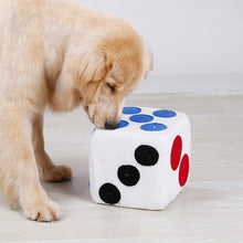 Load image into Gallery viewer, Dice Snuffle Toy
