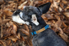 Load image into Gallery viewer, Easy Collar (Blue)
